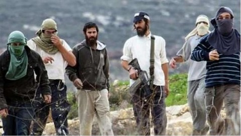 4 Palestinians Injured in Settler Attacks South of Nablus