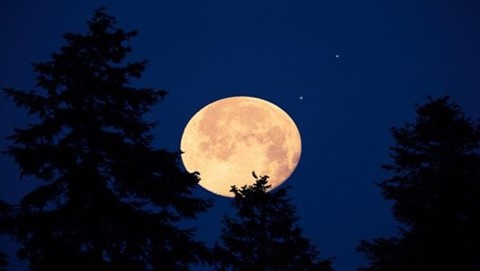 Full "July Moon" to Adorn Jordan's Sky on Wednesday Evening
