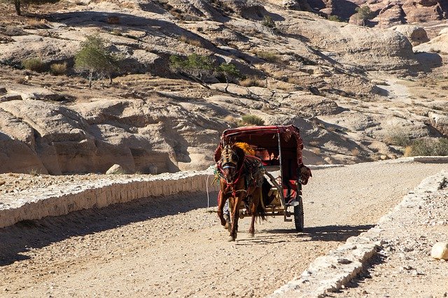 horse carriage